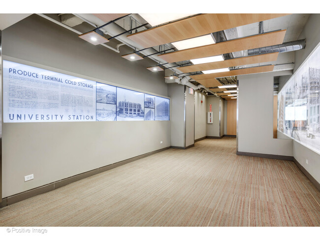 1550 S Blue Island Ave, Unit 1125 in Chicago, IL - Building Photo - Building Photo