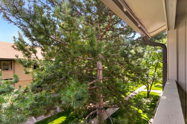 710 City Park Ave in Fort Collins, CO - Building Photo - Building Photo