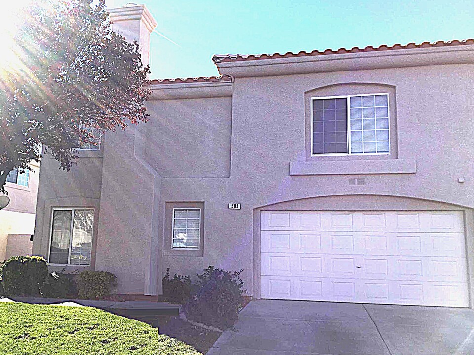 503 Quail Bird Pl in Henderson, NV - Building Photo