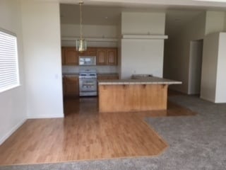 727 Divot Dr in Fernley, NV - Building Photo - Building Photo