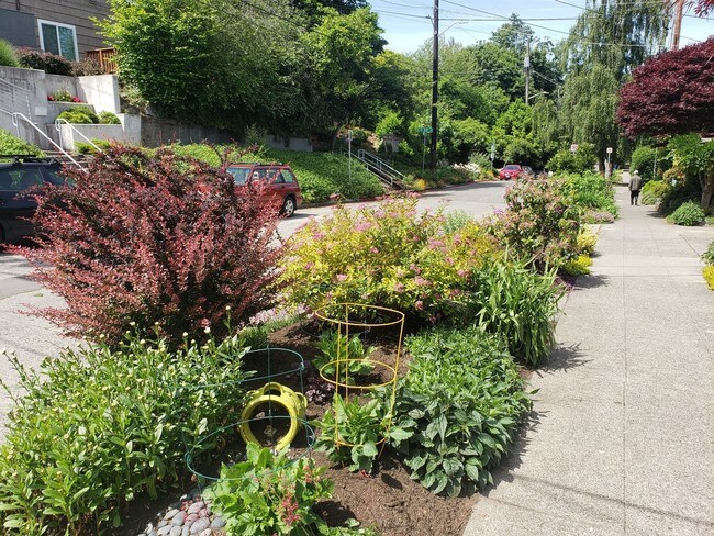 5042 21st Ave NE-Unit -5040.5 in Seattle, WA - Building Photo - Building Photo