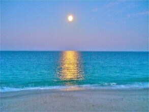 5400 Jimmy Buffett Mem Hwy, Unit 17 in Indian River Shores, FL - Building Photo - Building Photo