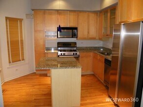 1017 W Dakin St in Chicago, IL - Building Photo - Building Photo