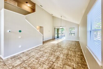 11910 Old Tuscany Pl in New Port Richey, FL - Foto de edificio - Building Photo