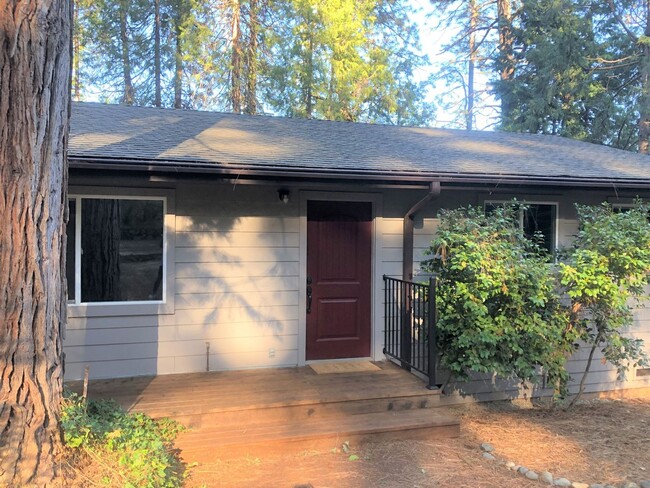 10752 Footwall Dr in Grass Valley, CA - Building Photo - Building Photo