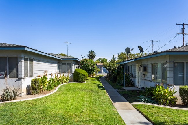 Vine Avenue Apartments in Ontario, CA - Building Photo - Building Photo