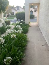 252 Novina Pl in Camarillo, CA - Building Photo - Building Photo