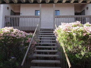 16644 E Westby Dr in Fountain Hills, AZ - Building Photo - Building Photo