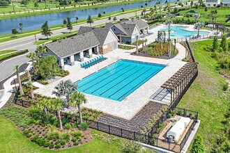 14773 Summer Br Dr in Lithia, FL - Building Photo - Building Photo