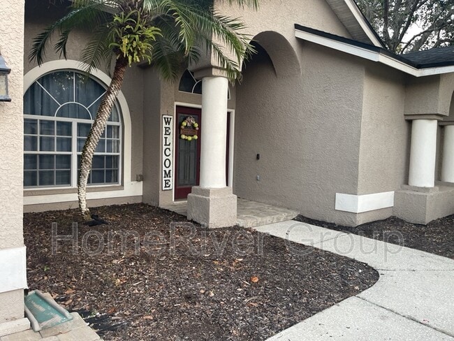 2529 Appaloosa Trail in Palm Harbor, FL - Building Photo - Building Photo