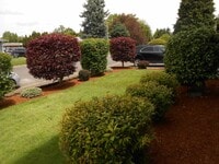 388 30th Ave SE photo'