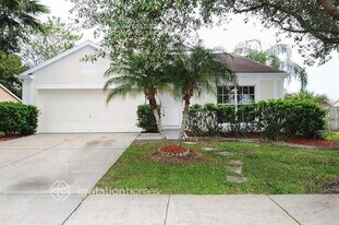 26804 Roseann Pl in Lutz, FL - Building Photo