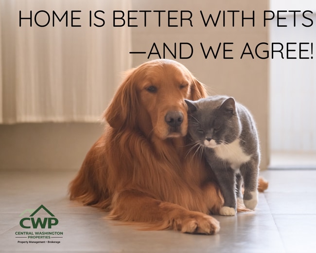 305 N 50th Ave in Yakima, WA - Building Photo - Building Photo