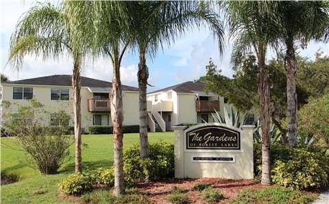 The Gardens of Forest Lakes in Oldsmar, FL - Foto de edificio