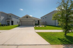 17042 Oval Rum Dr in Wimauma, FL - Building Photo