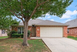 2356 Evening Song Dr in Little Elm, TX - Building Photo
