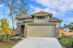 307 Highland Bayou Dr in Conroe, TX - Building Photo