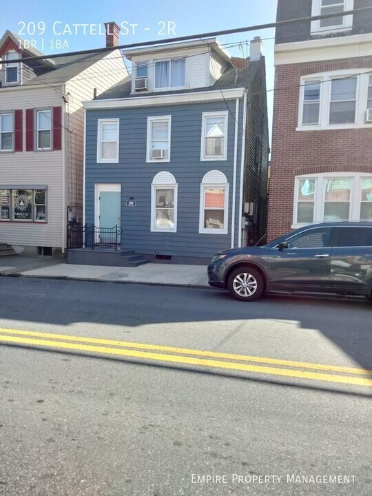 209 Cattell St in Easton, PA - Building Photo