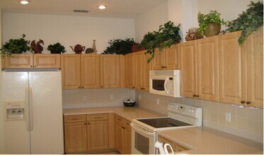 11141 Port Douglas Dr in New Port Richey, FL - Building Photo - Building Photo