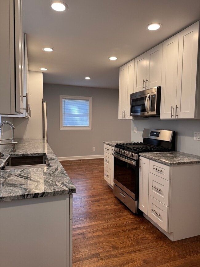 113 Delaware St in Crystal Lake, IL - Building Photo - Building Photo