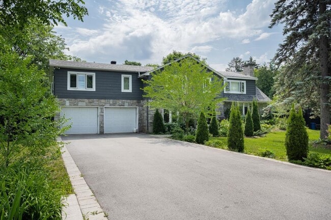 property at 55 Oxford Rue
