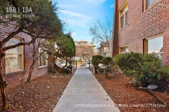 1469 N Williams St in Denver, CO - Building Photo - Building Photo