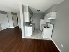 405 E Reed St-Unit -4 in Braidwood, IL - Building Photo - Building Photo