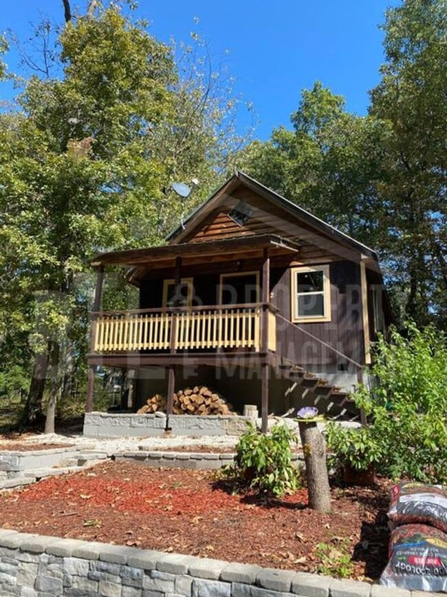 272 Woodward Dr in Branson, MO - Building Photo - Building Photo