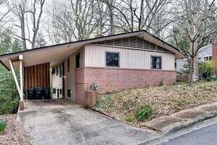 312 Cary St in Williamsburg, VA - Building Photo