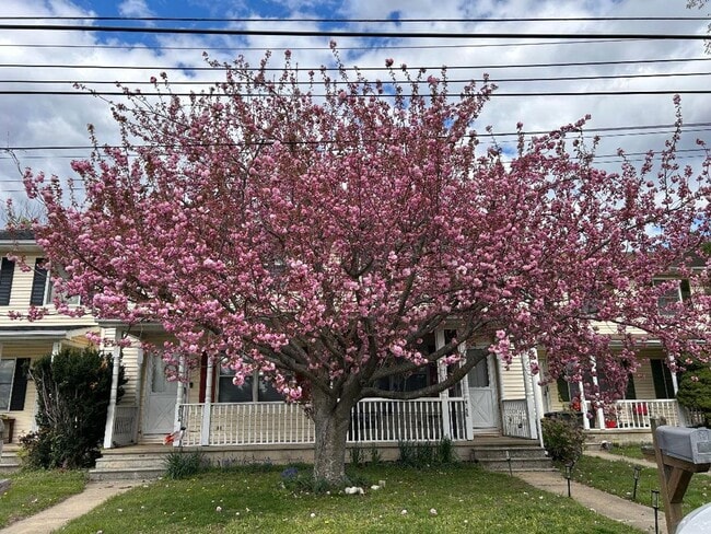 property at 405 Cowgill St
