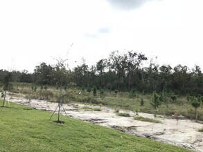 10096 Lovegrass Ln in Orlando, FL - Building Photo - Building Photo