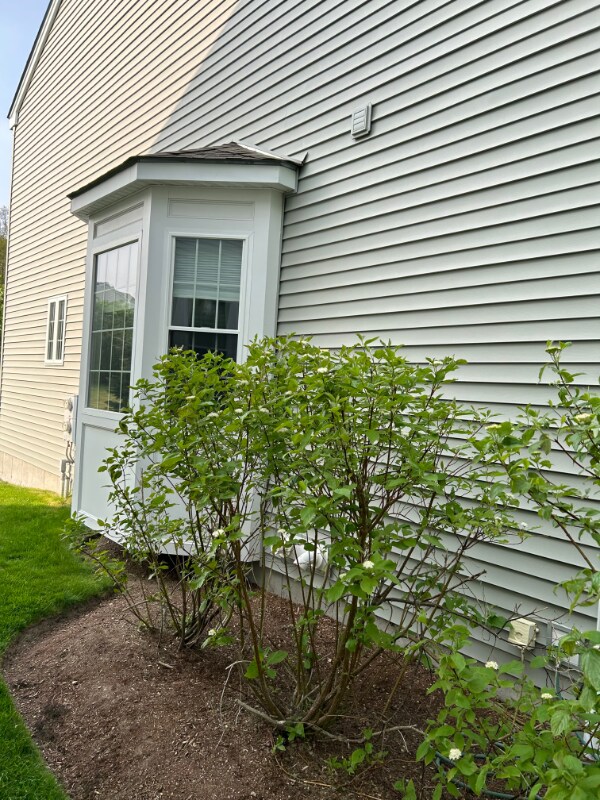5 Frostpane Ln in Hopkinton, MA - Building Photo - Building Photo