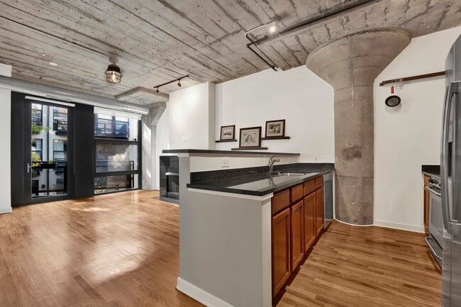 1151 W 14th Pl in Chicago, IL - Building Photo - Building Photo