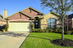 9502 Herons Grove Ln in Katy, TX - Building Photo