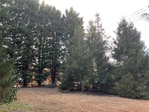 518 Eliada Home Rd in Asheville, NC - Building Photo - Building Photo