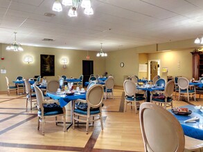 Tinley Court Senior Living 55+ in Tinley Park, IL - Building Photo - Building Photo