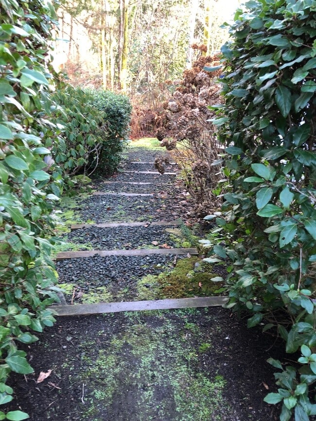 1870 Sakai Village Loop in Bainbridge Island, WA - Building Photo - Building Photo