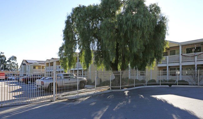 Sherwood Village in Salinas, CA - Building Photo - Building Photo