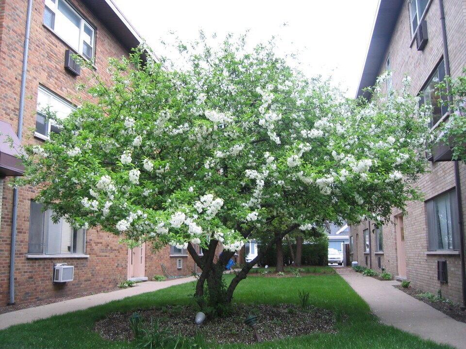 222 S Oak Park Ave, Unit #5 in Oak Park, IL - Foto de edificio