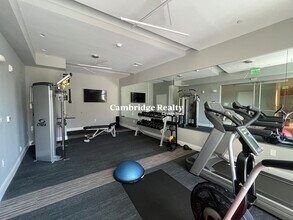 15 Central St, Unit 307A in Somerville, MA - Building Photo - Building Photo