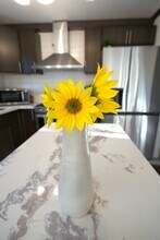 1340 Rayburn Dr in Reno, NV - Building Photo - Building Photo