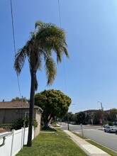 911 Arlington Ave in Torrance, CA - Foto de edificio - Building Photo