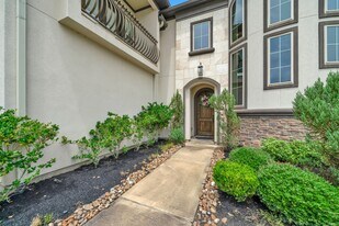 26006 Carolina Cherry Ct in Spring, TX - Building Photo