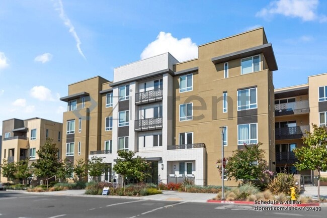 45298 Tom Blalock St in Fremont, CA - Building Photo - Building Photo