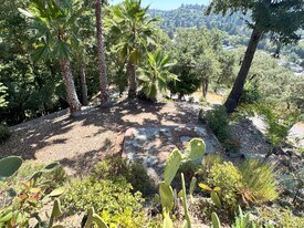 22 Willis Rd in Scotts Valley, CA - Building Photo