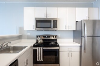 381 E Ohio St in Chicago, IL - Building Photo - Building Photo