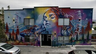 778 Forest St in Reno, NV - Building Photo