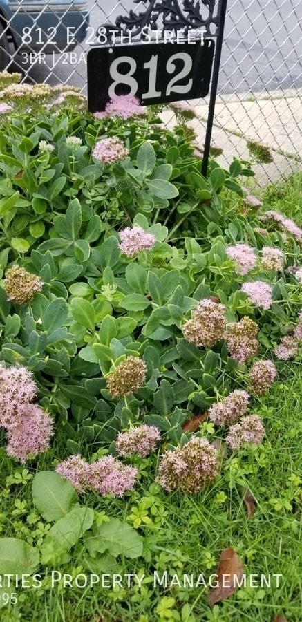 812 E 28th St in Wilmington, DE - Building Photo - Building Photo