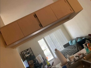 13116 Sanctuary Cove Dr in Temple Terrace, FL - Building Photo - Building Photo