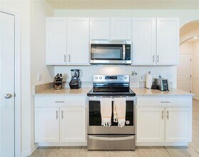 33488 Elm Hl Br in Wesley Chapel, FL - Building Photo - Building Photo